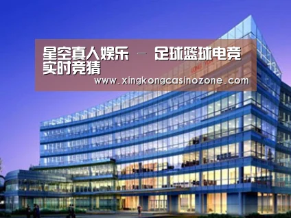 案例展示五
