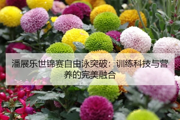 潘展乐世锦赛自由泳突破：训练科技与营养的完美融合