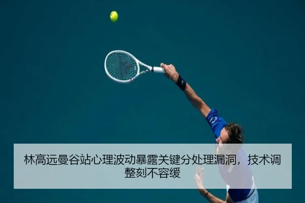 lin-gao-yuan-man-gu-zhan-xin-li-bo-dong-bao-lu-guan-jian-fen-chu-li-lou-dong-ji-shu-tiao-zheng-ke-bu-rong-huan-3-573.jpg