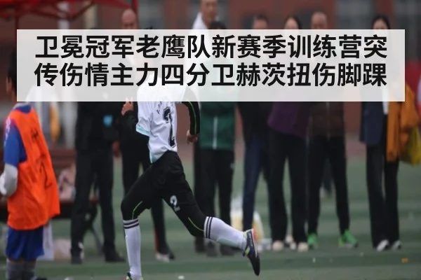 卫冕冠军老鹰队新赛季训练营突传伤情主力四分卫赫茨扭伤脚踝