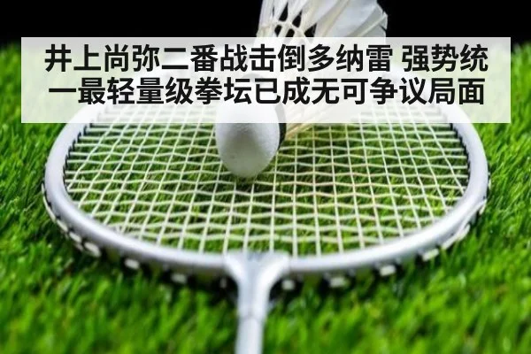 井上尚弥二番战击倒多纳雷 强势统一最轻量级拳坛已成无可争议局面